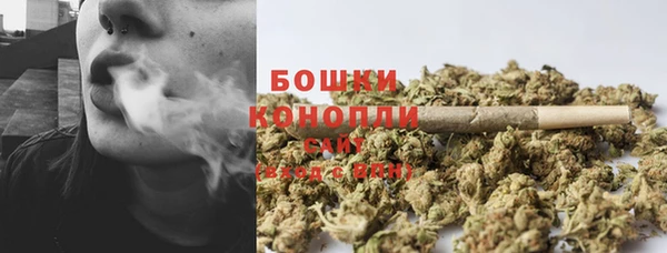 шишки Абдулино