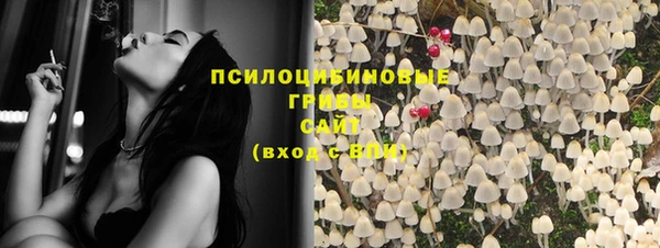 шишки Абдулино