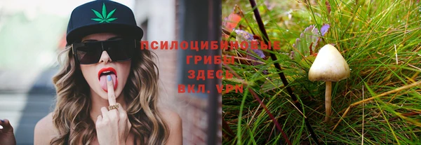 трава Абинск